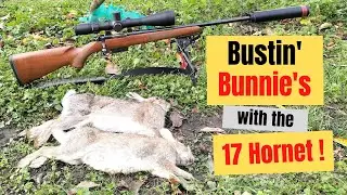 Rabbit Shooting with the 17 Hornet