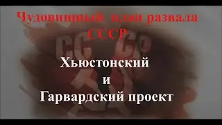 Планы хабадников, аресты, почему Шойгу назначили в Совет безопасности