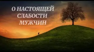 О настоящей слабости мужчин.