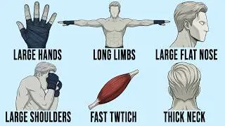 Every Physical Advantage In Fighting And How To Use Yours