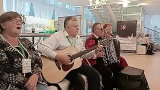Берёзы подмосковные в Ижевске.