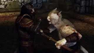Khajiit Martial Arts
