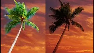 Cambia de fondo sin tener que usar la herramienta pluma en photoshop