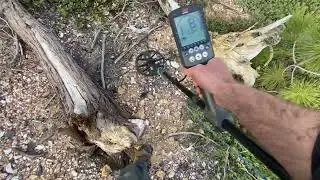 Gold Country 39