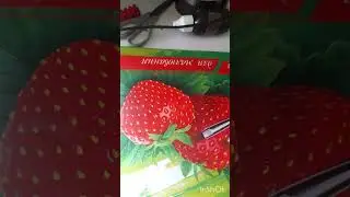 взорвал землю  #врек