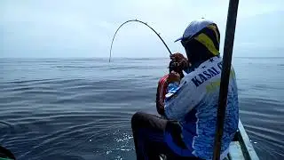 Perlawanan ikan monster ‼️ mancing ambyar ‼️
