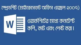 Copy, cut and paste content into worksheets || MS Office Excel 2007 Bangla Tutorial