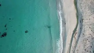 Nature - See Bike Ride, Seeshore bikes