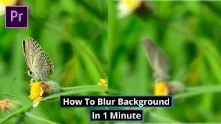 How To Blur Background In 1 Minute | Adobe Premiere Pro 2022