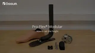 Pro Flex Modular (プロフレックス モジュラー) - 高さ調整の仕方