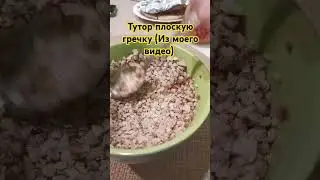 😂😂😂#мем #приколы