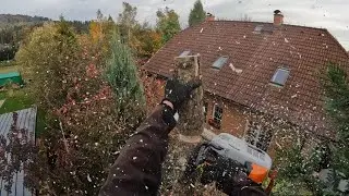 Felling risky tree - Look how work went