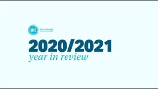 Year in review 2020/2021 // SAFE for Animals