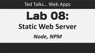 CSCI4208 - Lab 8:  Node + NPM - Static Web Server