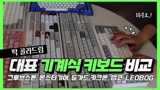 200만원 태워야 찾는 최고의 기계식 키보드 (택타일편) / 머글의 키보드 이상형 월드컵 / 그루브스톤, 몬스타기어, 듀가드, 키크론, 앱코, LEOBOG 한자리 비교타건