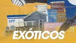 BK' - Exóticos (Gigantes)