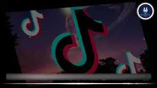 TikTok Remix Shorts [No Copyright Music Play]