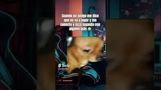 La traicion, la decepcion!!! #humor #memesgamer #memes #youtubegaming #fortnite