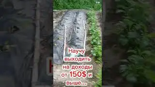 #богатство_и_достаток #работавинтернете
