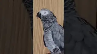 мама, ты красивая! не делай мне нервы!..