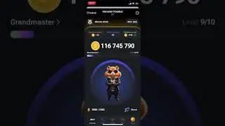 Новый комбо на 10 июня в Хамстер Комбат | Ежедневный комбо в Hamster Kombat  