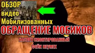 Обзор видеообращения 