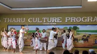 Tharu Culture Dance | Nepal | Chitwan