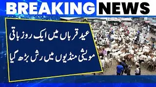 Breaking News | Maweshi Mandi Rates Increase | Breaking News | 16 June 2024 | Lahore Rang