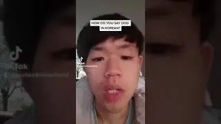 Can you say 'dog' in Korean?