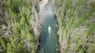 Пезо
