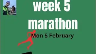 Brighton Marathon week 5 training etc