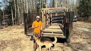 Making firewood while it’s still warm