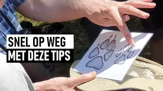 This is how you learn to recognise tracks & signs of animals