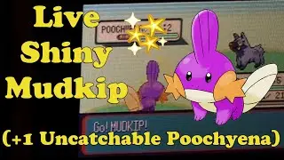 Live!!! Shiny Mudkip after 9,588 SRs!! (+Shiny Uncatchable Poochyena after 5,223 SRs)