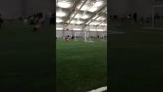 Wild dogs ultimate soccer arenas