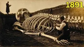 1891: The giant skeletons of Hamburg — Why were their discovery documents sealed by the Altona Mu...
