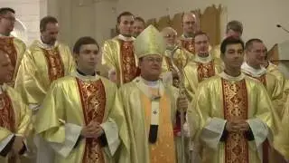 Рукоположение во диаконы Александра Домникова
