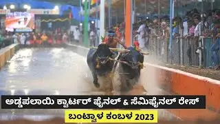 Addapalayi Quarter final & Semi-final Race | Bantwala Kambala 2023 | Namma Kambala