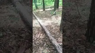 17 июля 2024 г.