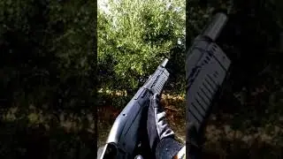 Shotgun Reloads (Shorts Edition) 