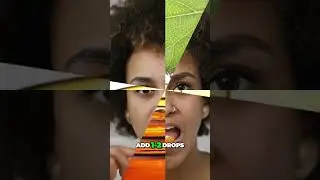 Tea Tree Oil The Secret to Healthy Gums and a Confident Smile