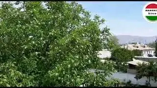 Карантин Исфара 08 05 2020