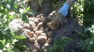 Connect is just Connect // Digging and evaluating