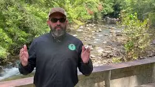 Citico Creek Fishing Tour