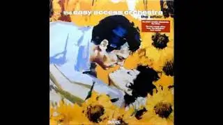 The Easy Access Orchestra - Pleck