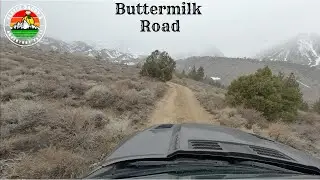 Buttermilk War Club