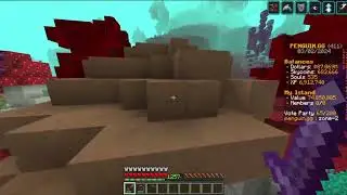 30 Days on SkyBlock Day 15: How to nether, warp nether tips and tricks