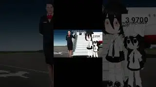 Полетели на самолёте