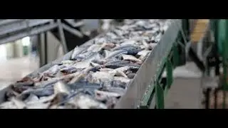 FISH PROCESSING SHIP ICool