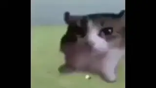 gone